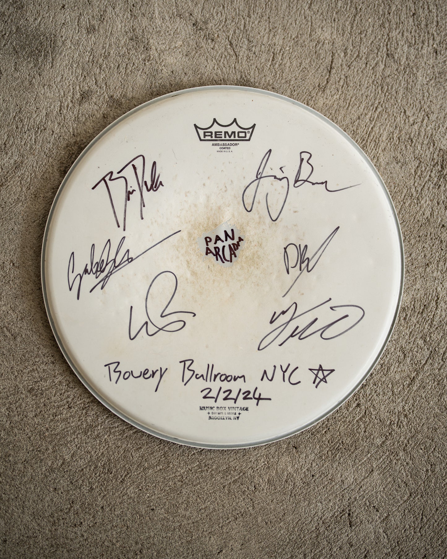 Signed Drum Head